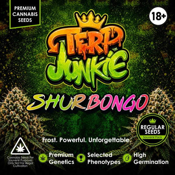 Shurbongo
