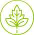 Dense Buds
