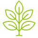 Plant Height