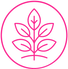 Dense Buds