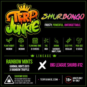 Shurbongo