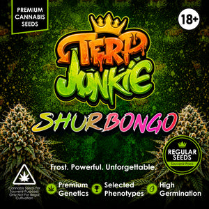 Shurbongo